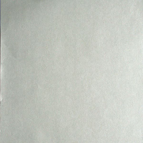 lara-silver-floral-trail-texture-wallpaper-york-wallcoverings-57-51972