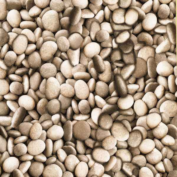 Tasca Sage Tiles Wallpaper - York Wallcoverings - 436-56928 - York Wallcoverings Wallpaper