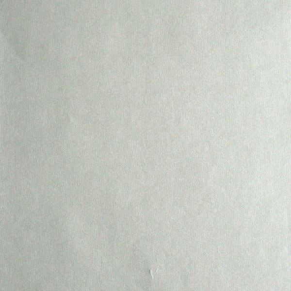 galen-silver-pewter-texture-wallpaper-york-wallcoverings-670-51972 - York Wallcoverings Wallpaper