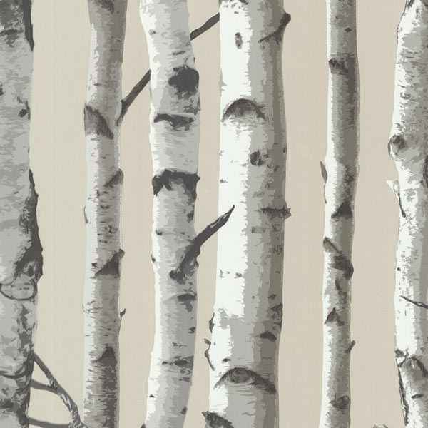Birch Tree - York Wallcoverings - 2532-20418 - York Wallcoverings Wallpaper