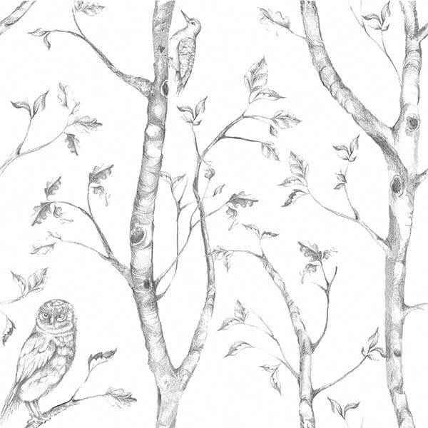 Grey Woods Peel & Stick Wallpaper - York Wallcoverings - NUS1412 - York Wallcoverings Wallpaper