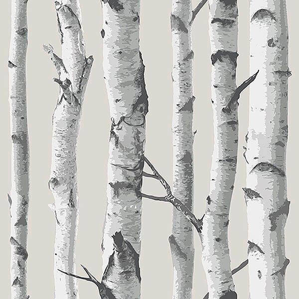 Birch Tree Peel and Stick Wallpaper - York Wallcoverings - NU3128 - York Wallcoverings Wallpaper