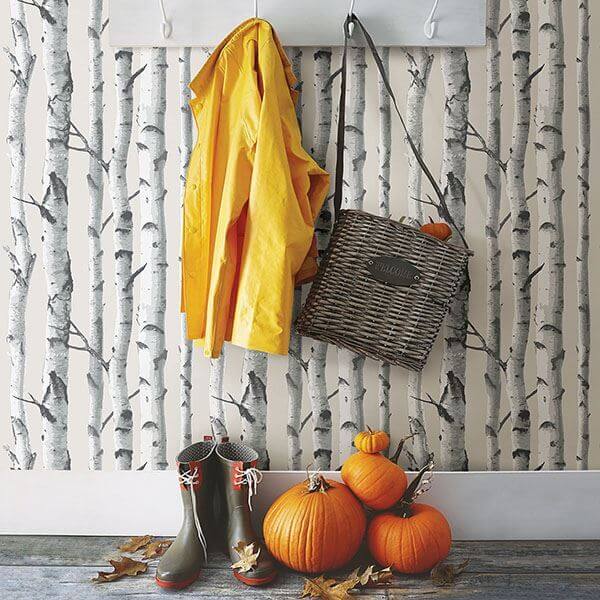 Birch Tree Peel and Stick Wallpaper - York Wallcoverings - NU3128 - York Wallcoverings Wallpaper