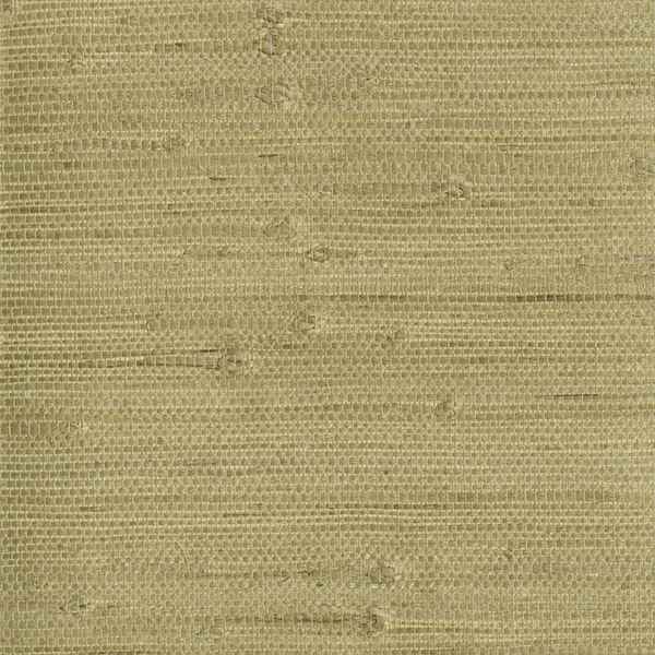 Heisoku Celery Paper Weave Wallpaper - York Wallcoverings - 2693-30212 - York Wallcoverings Wallpaper