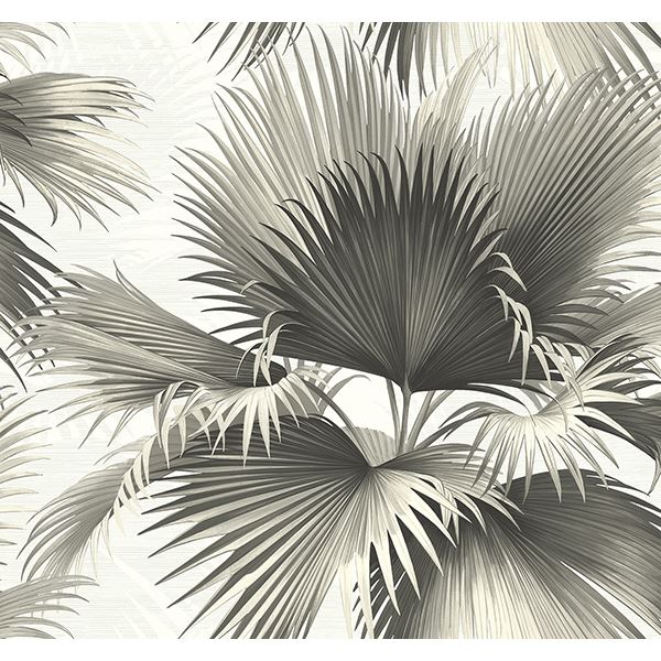 endless-black-palm-wallpaper-york-wallcoverings-ps40100 - York Wallcoverings Papel pintado