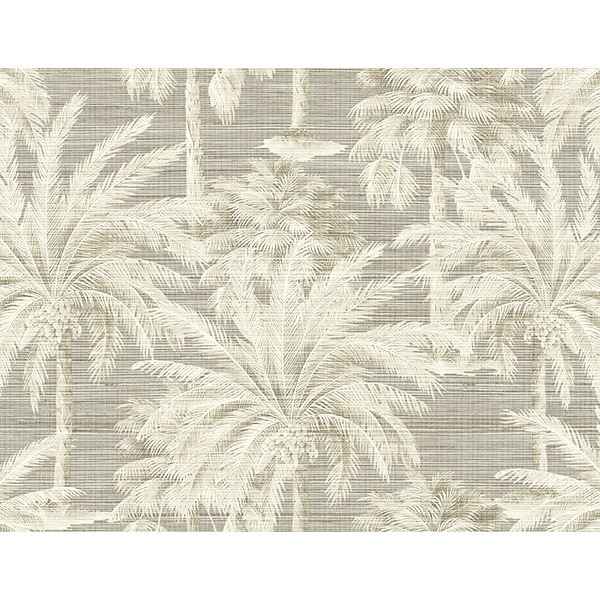 Dream Grey Texture Wallpaper - York Wallcoverings - PS40006 - York Wallcoverings Wallpaper