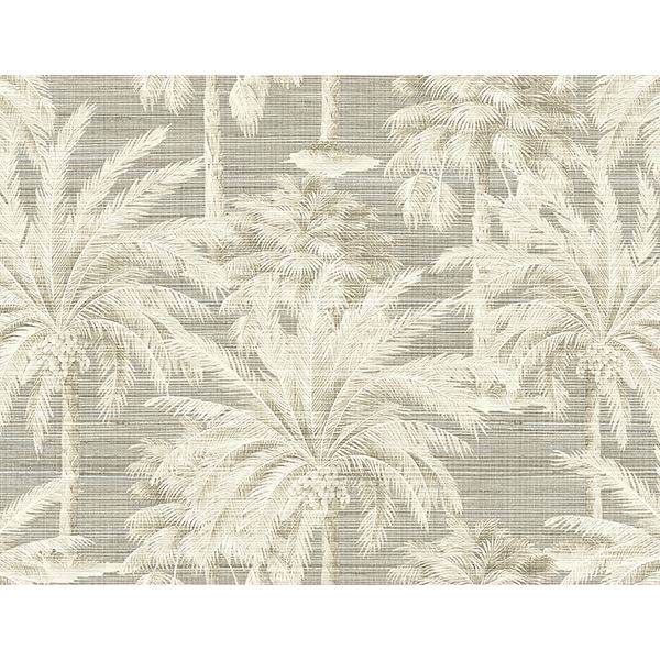 dream-grey-texture-wallpaper-york-wallcoverings-ps40006 - York Wallcoverings Wallpaper