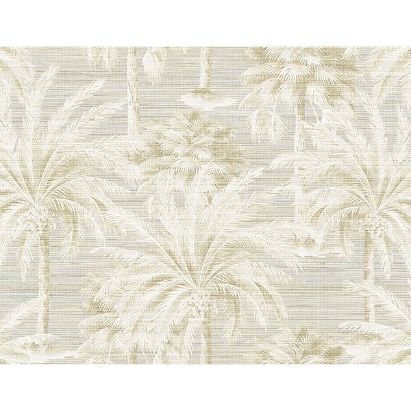 Dream Sand Texture Wallpaper - York Wallcoverings - PS40005 - York Wallcoverings Wallpaper