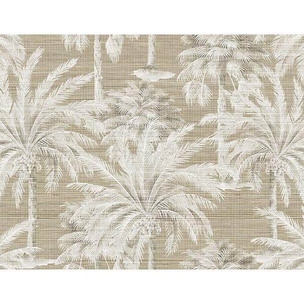 dream-brown-texture-wallpaper-york-wallcoverings-ps40007