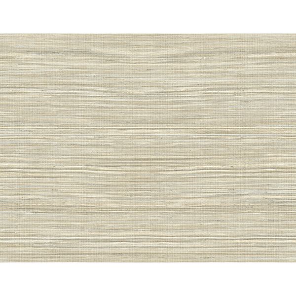 baja-brown-texture-wallpaper-york-wallcoverings-ps41507