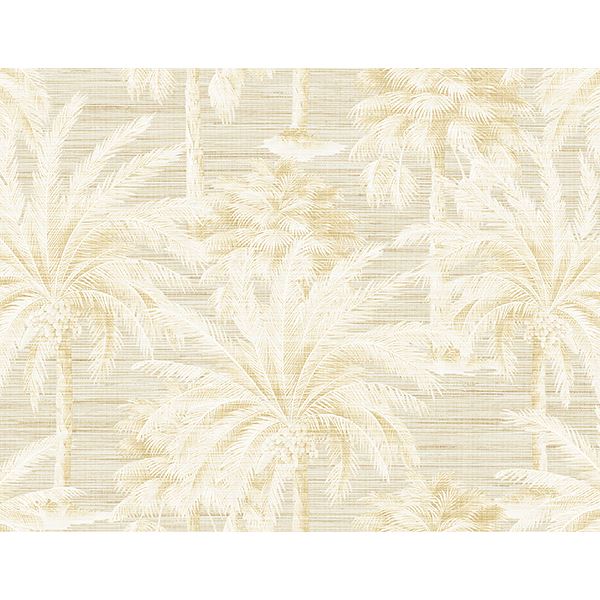 dream-beige-texture-wallpaper-york-wallcoverings-ps40003 - York Wallcoverings Wallpaper