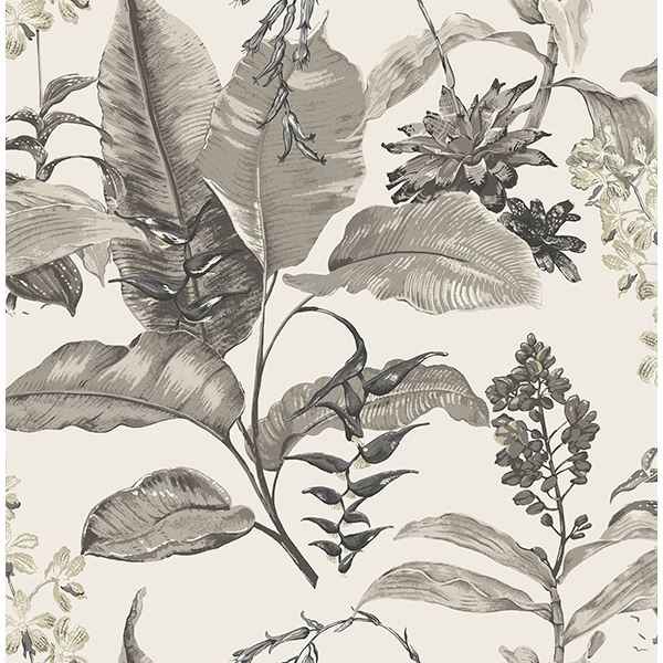 Maui White Botanical Wallpaper - York Wallcoverings - PS41800 - York Wallcoverings Wallpaper