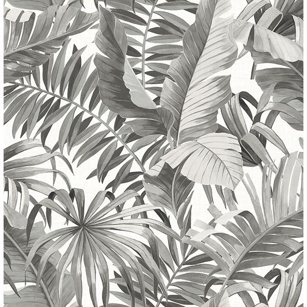 alfresco-black-palm-leaf-wallpaper-york-wallcoverings-2744-24134
