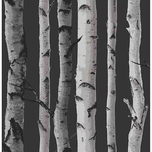Distinctive Black Birch Tree Wallpaper - York Wallcoverings - 2900-31052 - York Wallcoverings Wallpaper