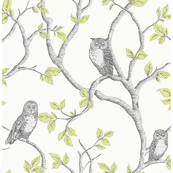 linden-green-owl-wallpaper-york-wallcoverings-2900-40637