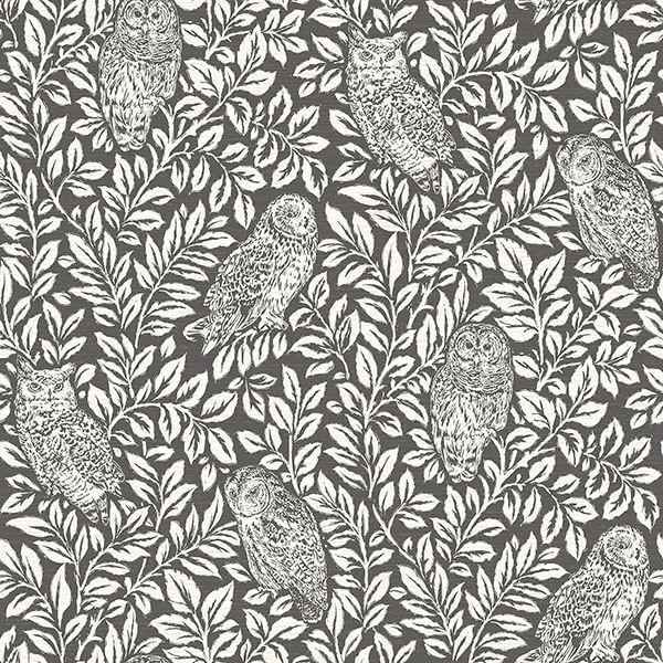 Parliament Brown Owl Wallpaper - York Wallcoverings - 3115-12415 - York Wallcoverings Wallpaper