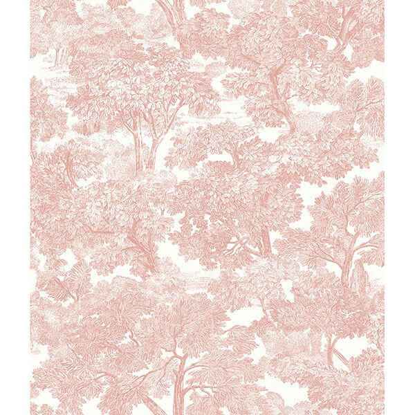 Spinney Rose Rose Toile Wallpaper - York Wallcoverings - 3115-12544