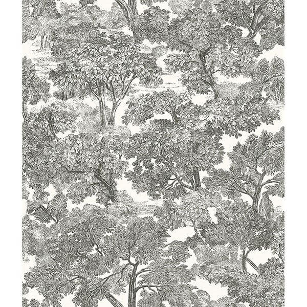 spinney-black-toile-wallpaper-york-wallcoverings-3115-12542 - York Wallcoverings Papel pintado