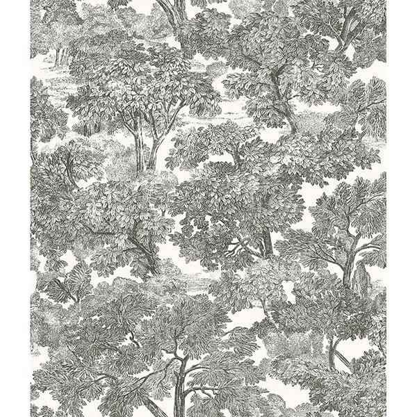 Spinney Black Toile Wallpaper - York Wallcoverings - 3115-12542