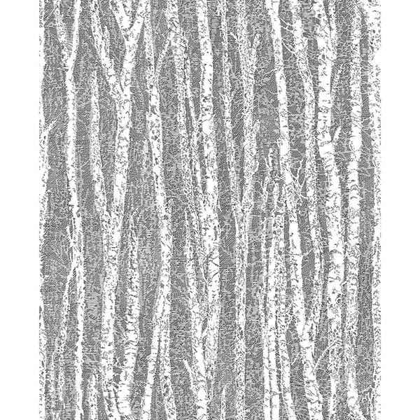 Toyon Black Birch Tree Wallpaper - York Wallcoverings - 2811-24580 - York Wallcoverings Wallpaper