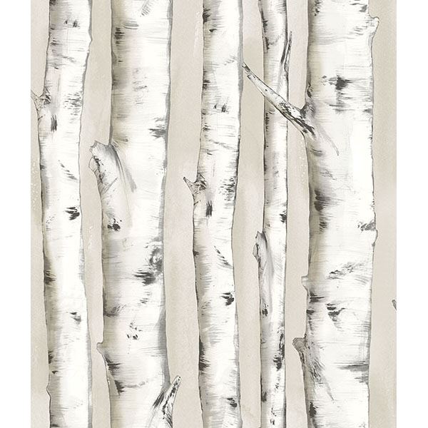 pioneer-off-white-birch-tree-wallpaper-york-wallcoverings-3118-12601 - York Wallcoverings Papel pintado