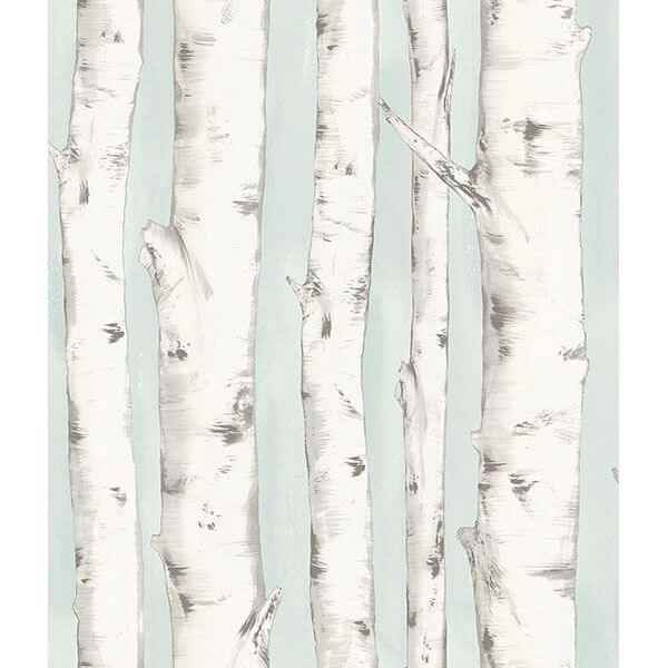 Pioneer Light Blue Birch Tree Wallpaper - York Wallcoverings - 3118-12602