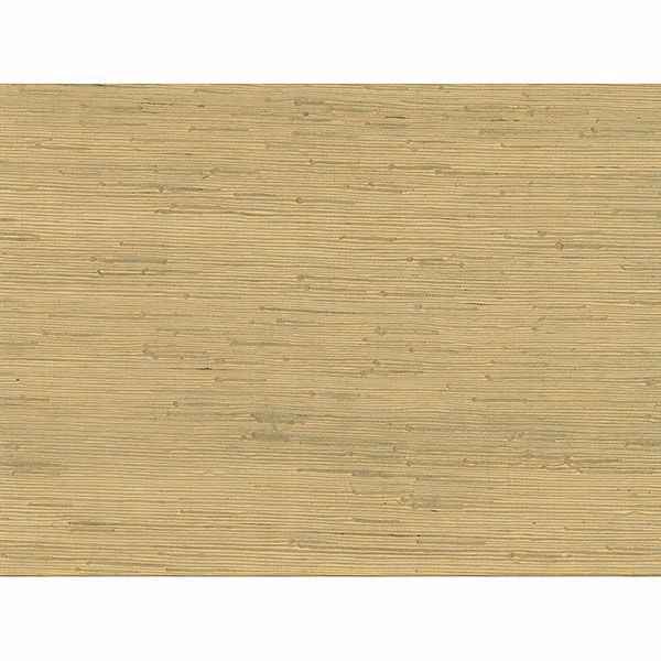 Shan Light Green Green Grasscloth Wallpaper - York Wallcoverings - 63-54764 - York Wallcoverings Wallpaper