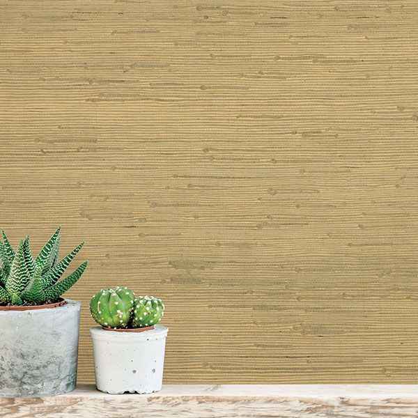 Shan Light Green Green Grasscloth Wallpaper - York Wallcoverings - 63-54764