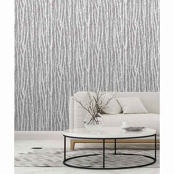 Flay Black Birch Tree Wallpaper - York Wallcoverings - 2813-24580 - York Wallcoverings Wallpaper