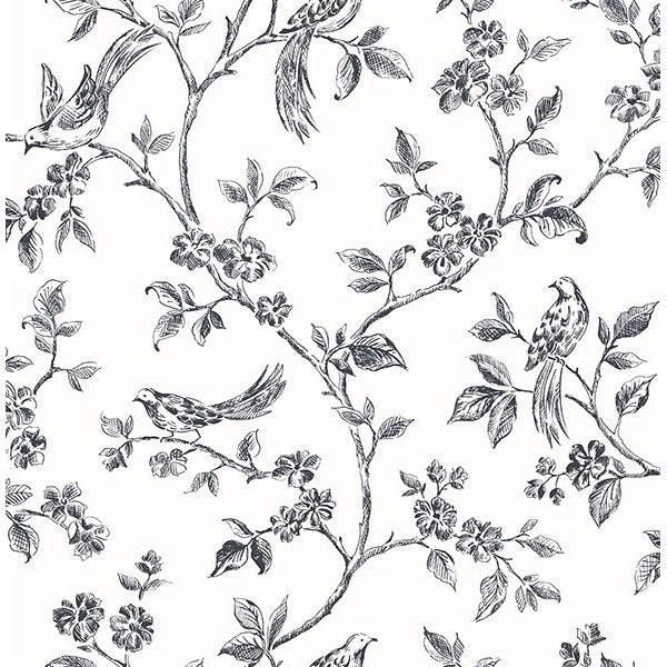 Ophelia Black Bird Trail Wallpaper - York Wallcoverings - 2836-24976 - York Wallcoverings Wallpaper