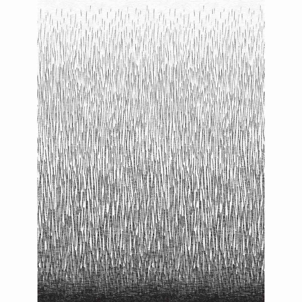Amaya Black Wall Mural - York Wallcoverings - 2764-24363 - York Wallcoverings Wallpaper