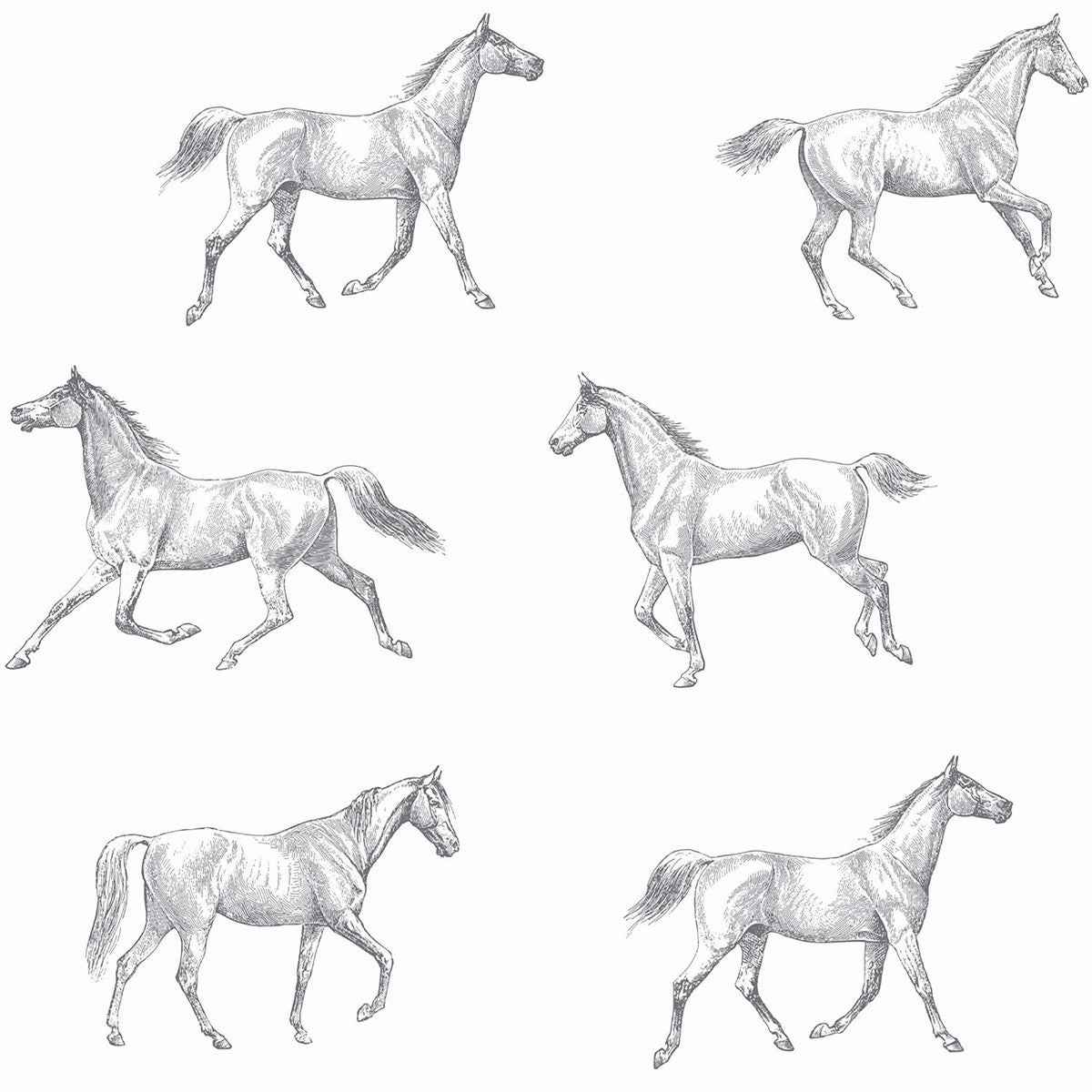 Burnett Off White Horses Wallpaper - York Wallcoverings - DD128807