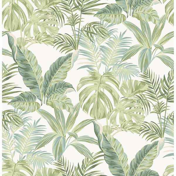 Madagascar Peel and Stick Wallpaper - York Wallcoverings - NU3382