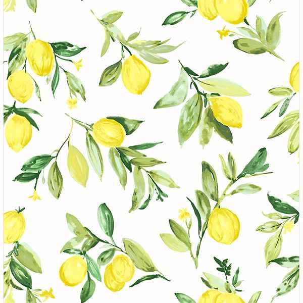 Limon Chartreuse Fruit Wallpaper - York Wallcoverings - 2904-25686 - York Wallcoverings Wallpaper