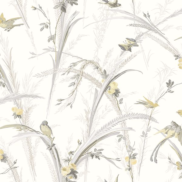 meadowlark-yellow-botanical-wallpaper-york-wallcoverings-3119-193210 - York Wallcoverings Papel pintado