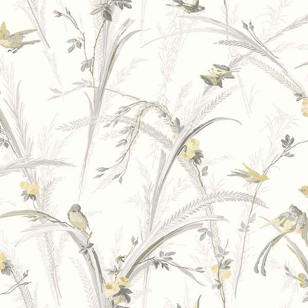 Meadowlark Yellow Botanical Wallpaper - York Wallcoverings - 3119-193210 - York Wallcoverings Wallpaper