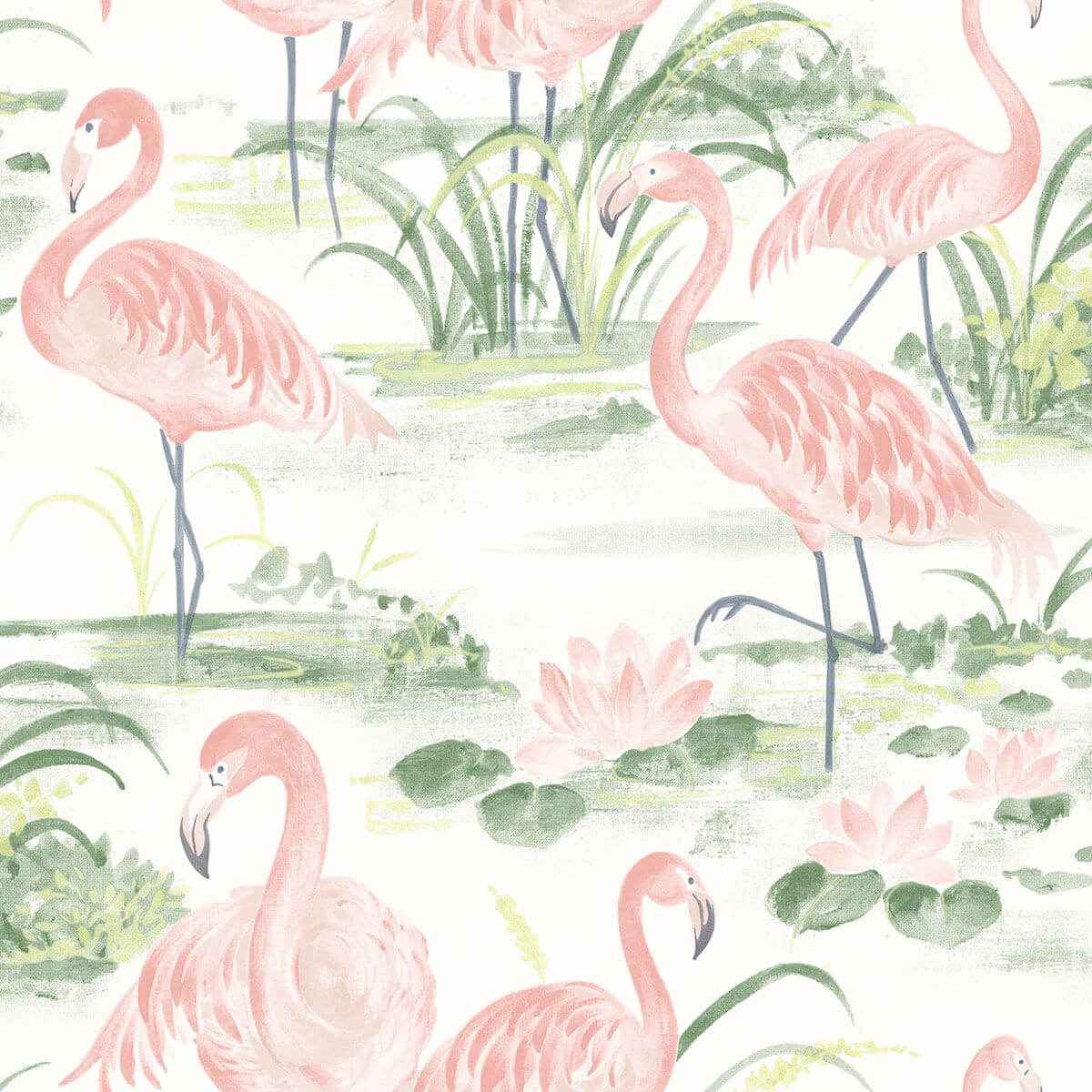 Everglades Coral Flamingos Wallpaper - York Wallcoverings - 3120-13601 - York Wallcoverings Wallpaper
