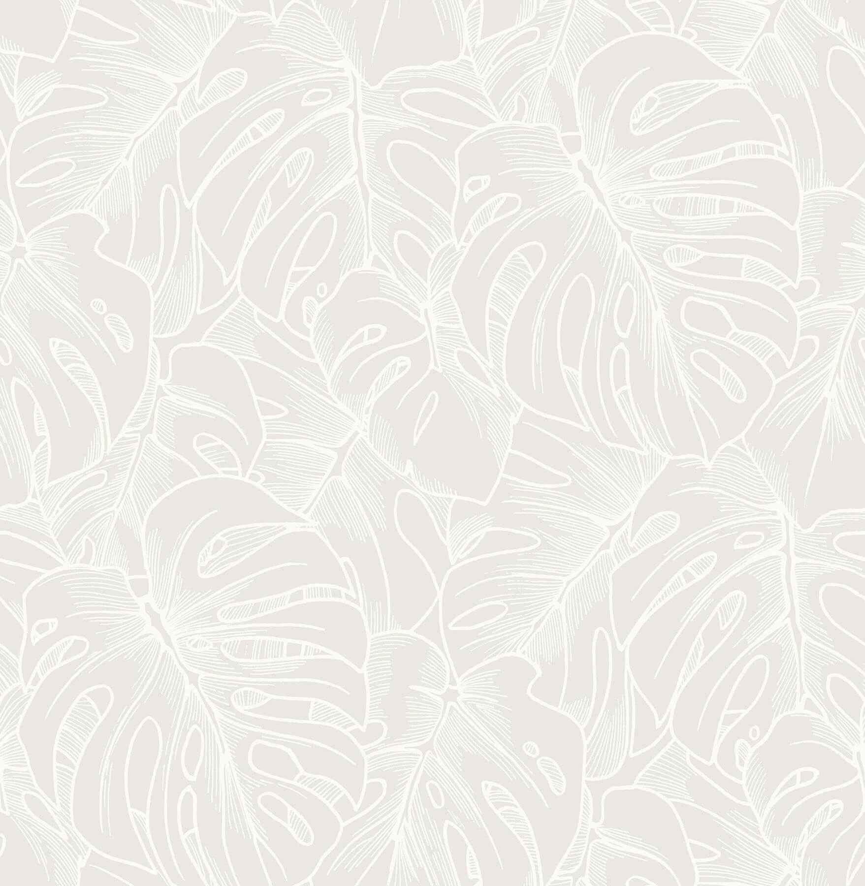 Balboa White Botanical Wallpaper - York Wallcoverings - 2964-87340