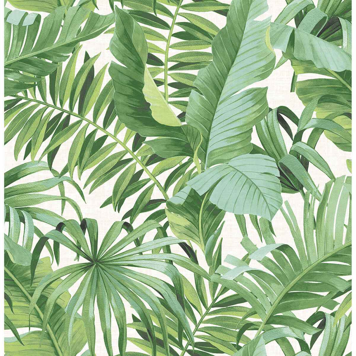 Alfresco Green Tropical Palm Wallpaper - York Wallcoverings - 2969-24136