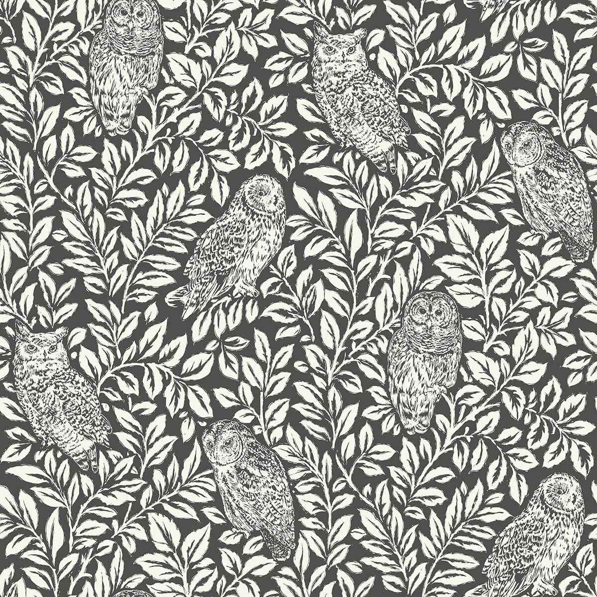 Charcoal Sleepy Owls Peel and Stick Wallpaper - York Wallcoverings - NUS3625