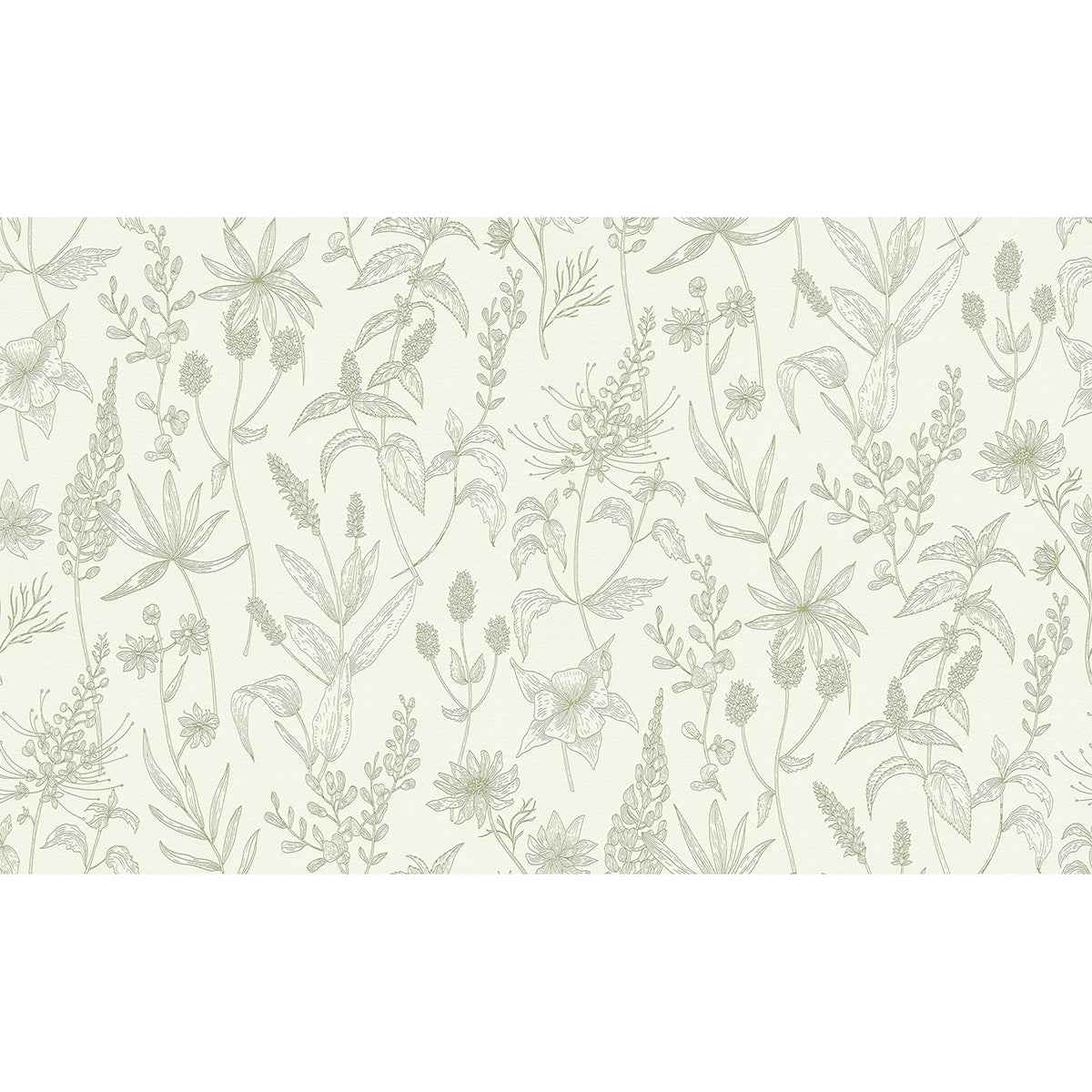 Nami Olive Floral Wallpaper - York Wallcoverings - 2979-37363-5 - York Wallcoverings Wallpaper