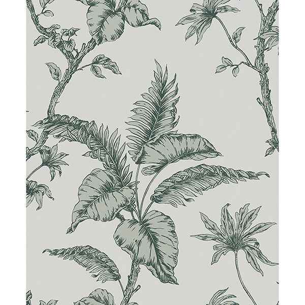 Cival Green Fern Trail Wallpaper - York Wallcoverings - MG31846 - York Wallcoverings Wallpaper