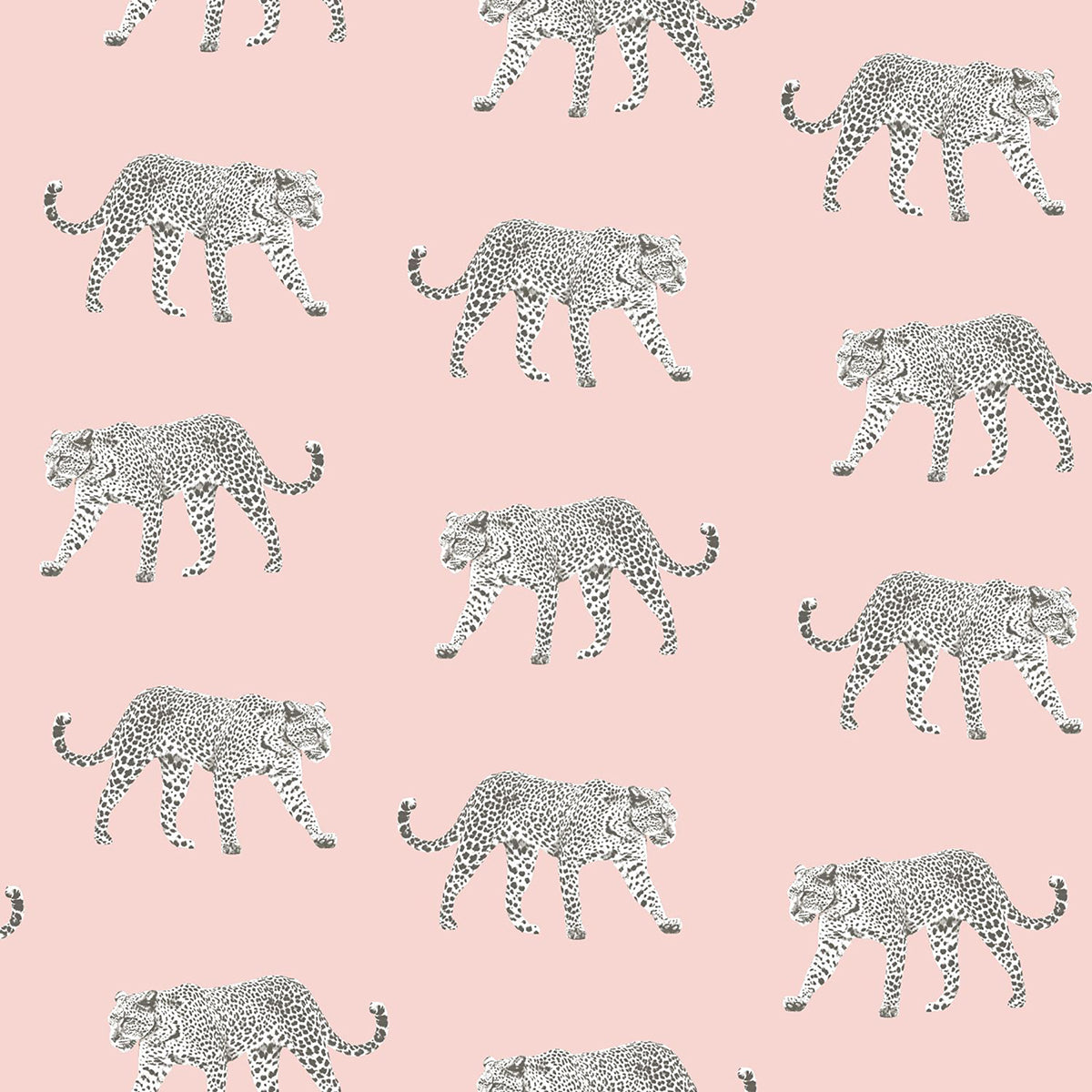prowl-pink-jaguars-wallpaper-york-wallcoverings-dd139177 - York Wallcoverings Wallpaper