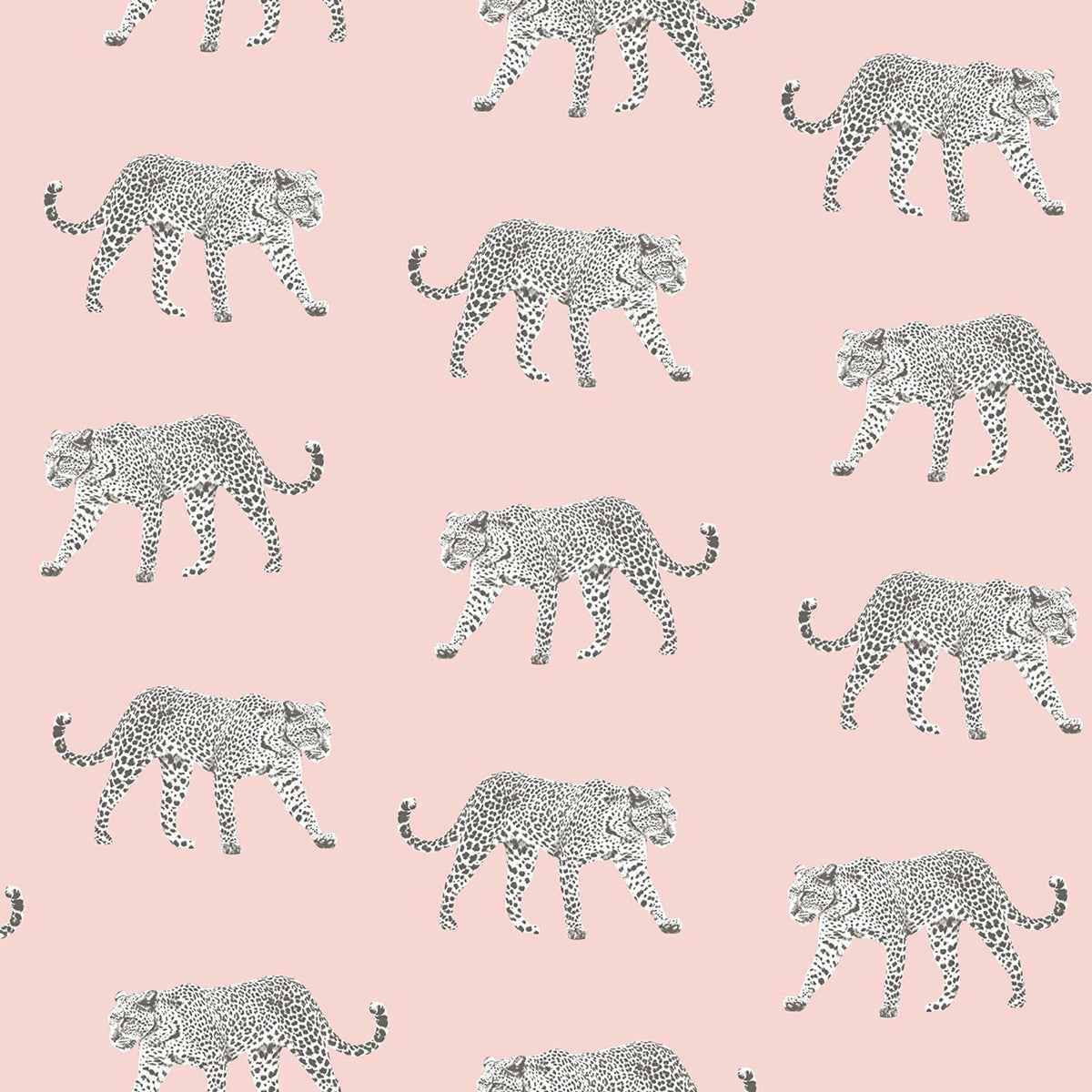 Prowl Pink Jaguars Wallpaper - York Wallcoverings - DD139177