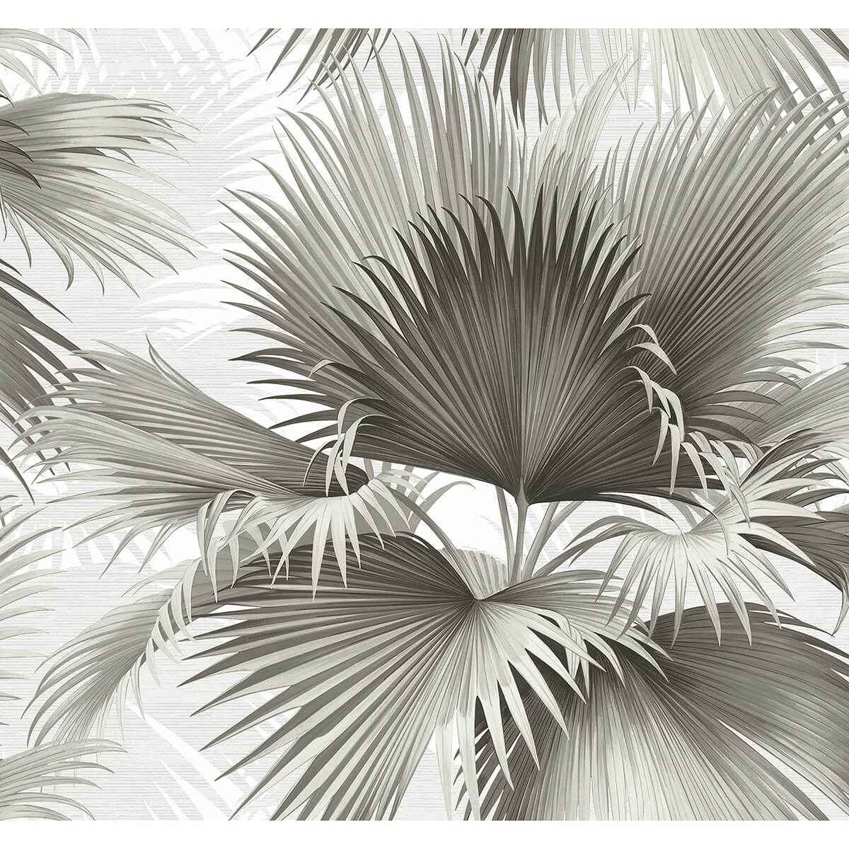 Summer Palm Charcoal Tropical Wallpaper - York Wallcoverings - 2927-40100