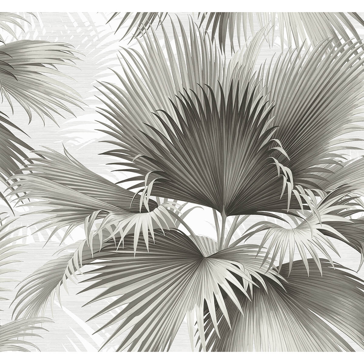 Summer Palm Charcoal Tropical Wallpaper - York Wallcoverings - 2927-40100 - York Wallcoverings Wallpaper