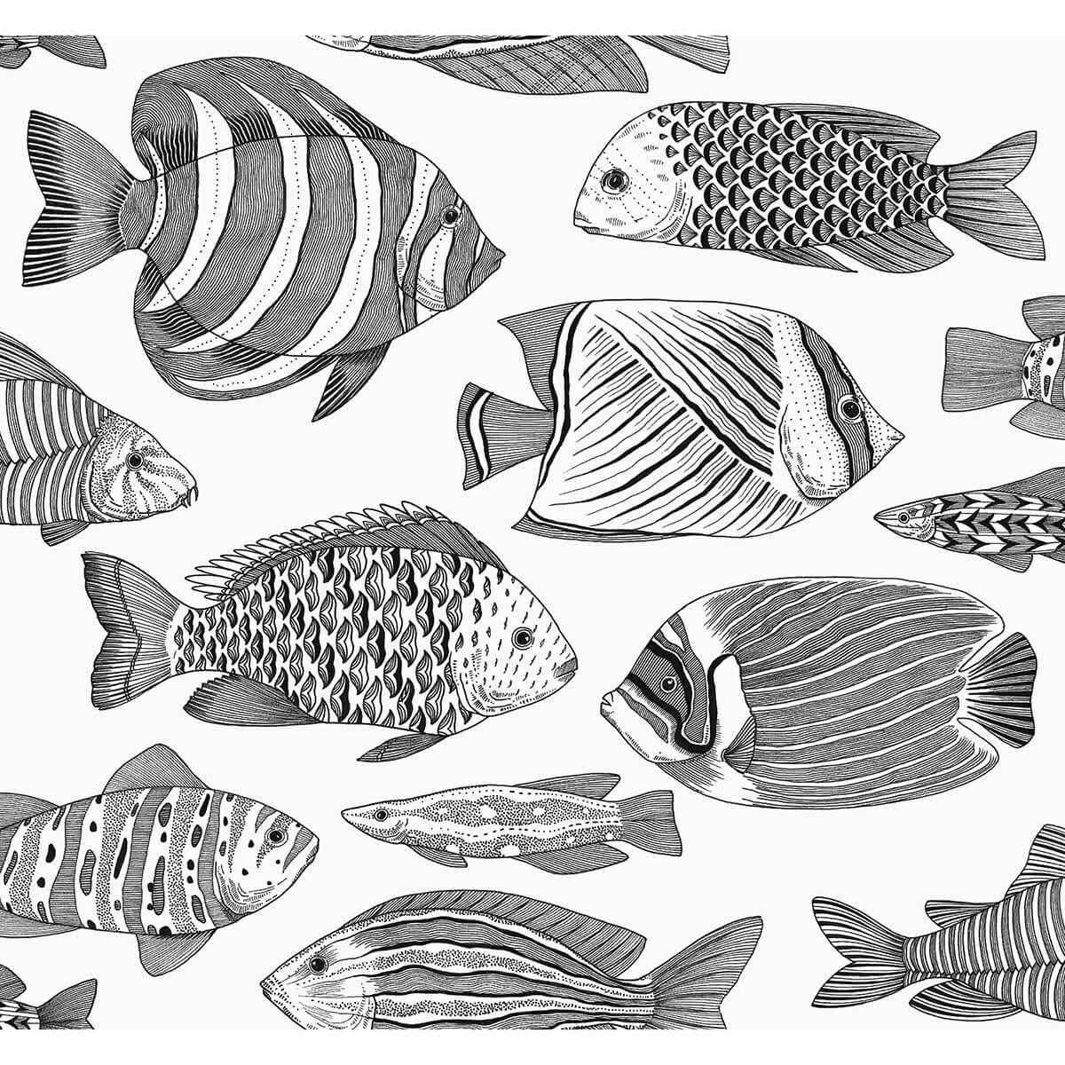Wailea Black Tropical School Wallpaper - York Wallcoverings - 2927-80200 - York Wallcoverings Wallpaper