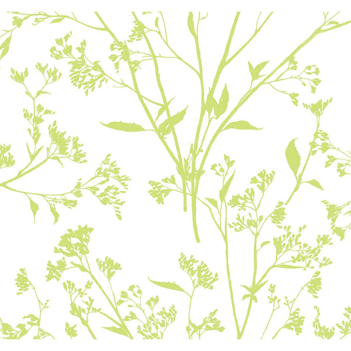 Southport Chartreuse Delicate Branches Wallpaper - York Wallcoverings - 2927-80704