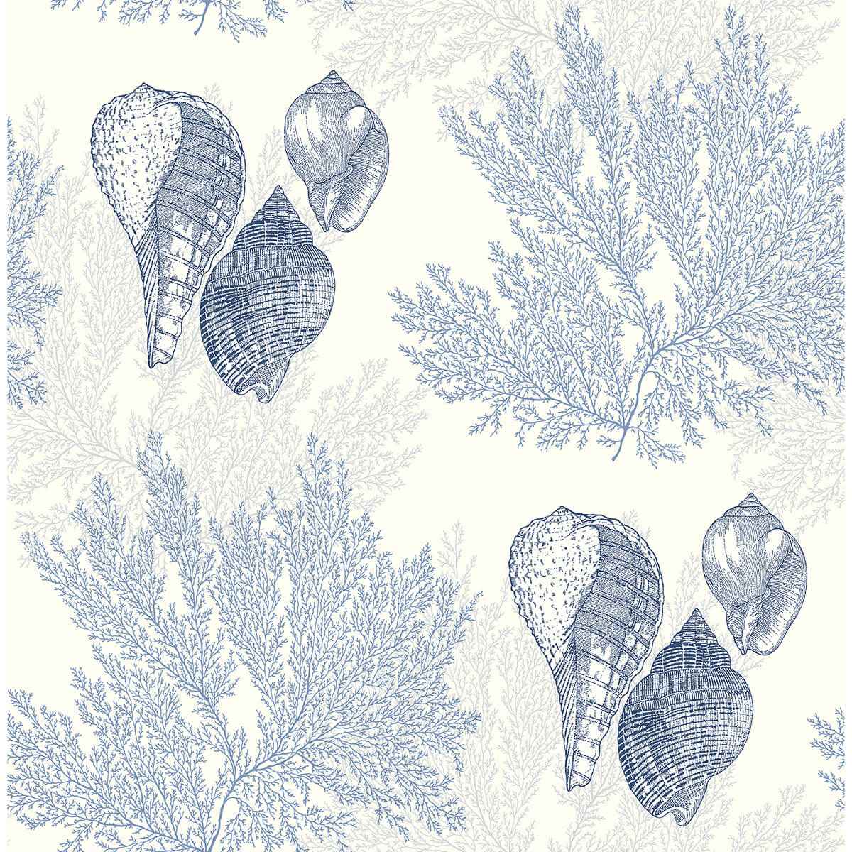 Nauset Blue Seashell Shores Wallpaper - York Wallcoverings - 2927-81202 - York Wallcoverings Wallpaper