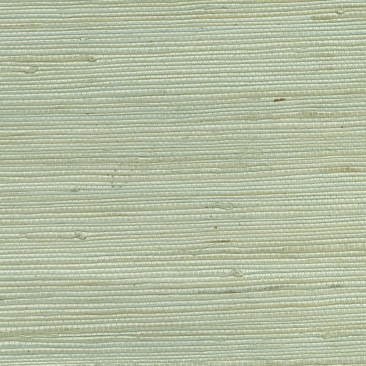 kimi-light-green-grasscloth-wallpaper-york-wallcoverings-63-65609 - York Wallcoverings Wallpaper